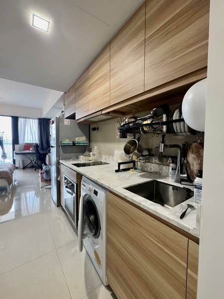 The Poiz Residences, 12 Meyappa Chettiar Road, 1 Bedroom, 420 sqft, Condominium For Rent, by Vincent Chan Koon Koon, 21657681 - PropertyGuru.com.sg