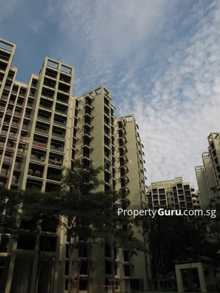 468 Segar Road, 468 Segar Road, Dairy Farm / Bukit Panjang / Choa Chu Kang, Room Rental, 260 sqft, HDB Flat For Rent, by Stella Kuek, 21679852 - Flat View 1 - PropertyGuru.com.sg