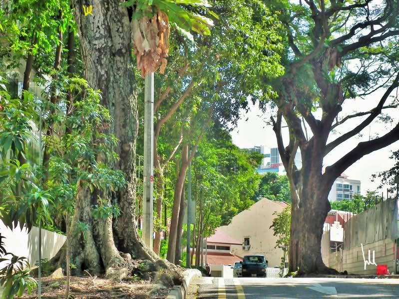The Arris, 28 Yan Kit Road, 2 Bedrooms, 936 sqft, Apartment For Rent, by HT Lee, 21720491 - PropertyGuru.com.sg