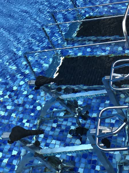 North Park Residences, 15 Yishun Central 1, Studio, 527 sqft, Condominium For Rent, by Ling Chua, 21732589 - PropertyGuru.com.sg