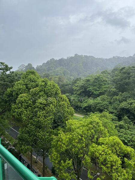 Southaven I, 43 Hindhede Walk, 3 Bedrooms, 1,540 sqft, Condominium For Rent, by Gary Kwok, 21741357 - PropertyGuru.com.sg