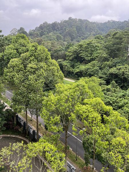 Southaven I, 43 Hindhede Walk, 3 Bedrooms, 1,540 sqft, Condominium For Rent, by Gary Kwok, 21741357 - PropertyGuru.com.sg