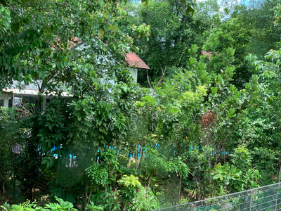 For Rent - Vanda Avenue