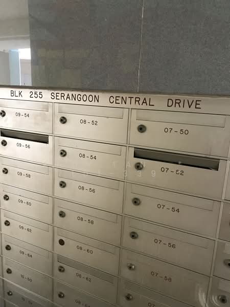 255 Serangoon Central Drive, 255 Serangoon Central Drive, Room Rental, 140 sqft, HDB Flat For Rent, by Andy Tan * 97101-339 *, 21751299 - PropertyGuru.com.sg