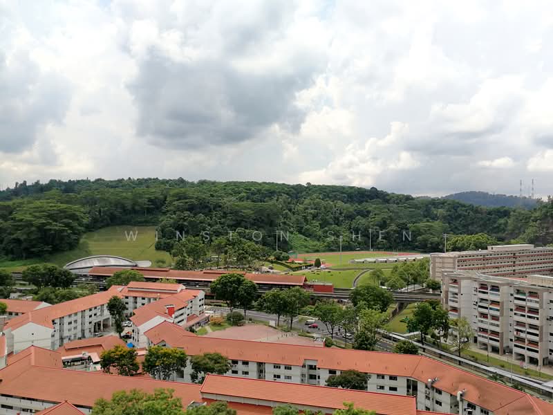 The Madeira, 50 Bukit Batok Street 31, 3 Bedrooms, 1,355 sqft, Condominium For Rent, by Winston Shen, 21756874 - PropertyGuru.com.sg