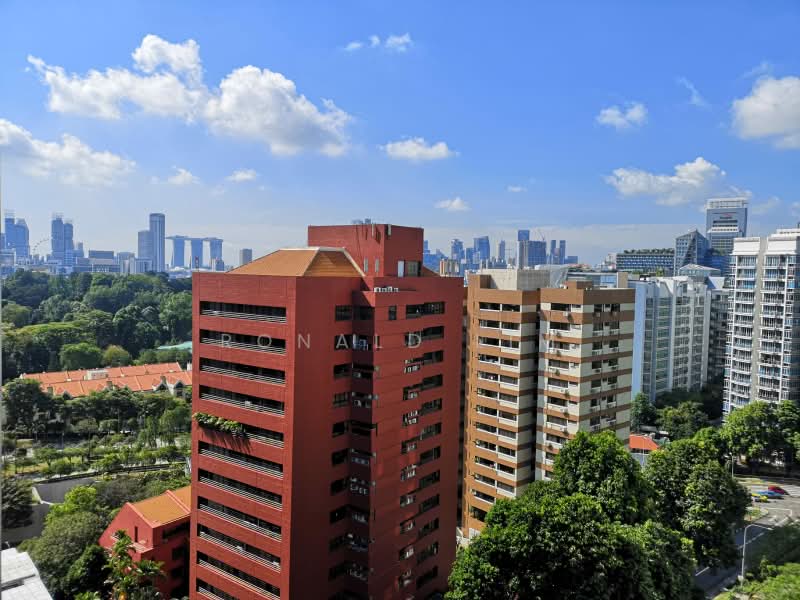 Cairnhill Residences, 31 Cairnhill Circle, 3 Bedrooms, 1,173 sqft, Apartment For Rent, by Ronald Lim, 21764648 - City View from Unit - PropertyGuru.com.sg