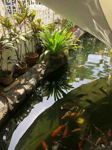 Swiss View, Swiss View, 5 Bedrooms, 3,300 sqft, Terraced House For Sale, by William Teo, 21773871 - PropertyGuru.com.sg