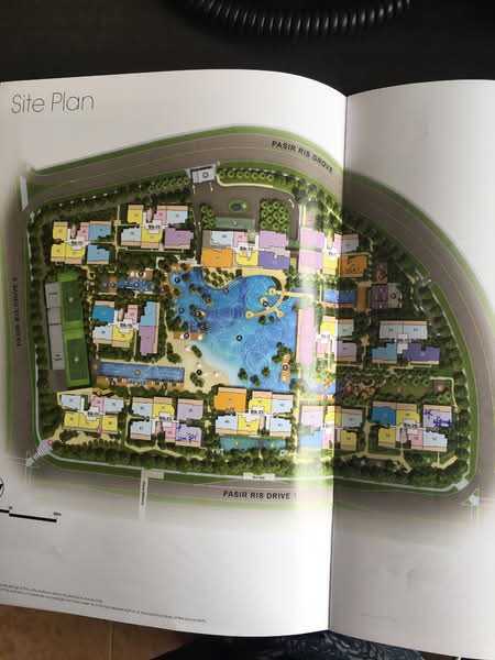 Coco Palms, 27 Pasir Ris Grove, 3 Bedrooms, 904 sqft, Condominium For Rent, by Amy Lim, 21779697 - PropertyGuru.com.sg