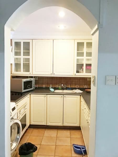 Astoria Apartment, 6A Cairnhill Rise, 1 Bedroom, 733 sqft, Apartment For Rent, by Chris Low, 21783729 - PropertyGuru.com.sg