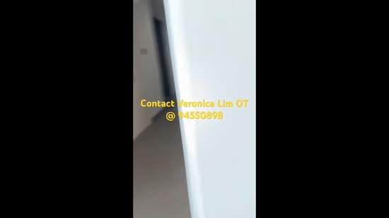 d'Leedon (Former Farrer Court), 19 Leedon Heights, 4 Bedrooms, 1,755 sqft, Condominium For Rent, by Veronica Lim, 21795509 - PropertyGuru.com.sg