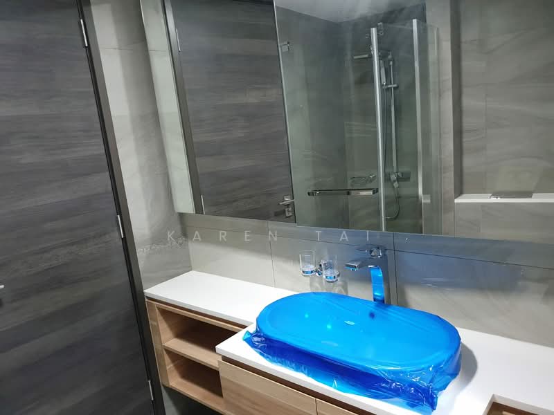 The Poiz Residences, 2 Meyappa Chettiar Road, 1 Bedroom, 527 sqft, Apartment For Rent, by Karen Tai, 21801835 - alot of storage space in bathroom - PropertyGuru.com.sg
