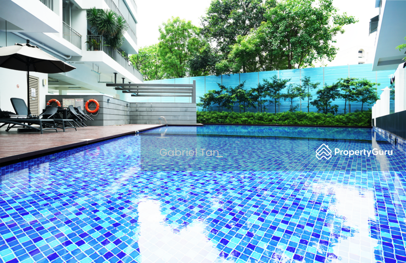 Lovely Private Swimming Pool 