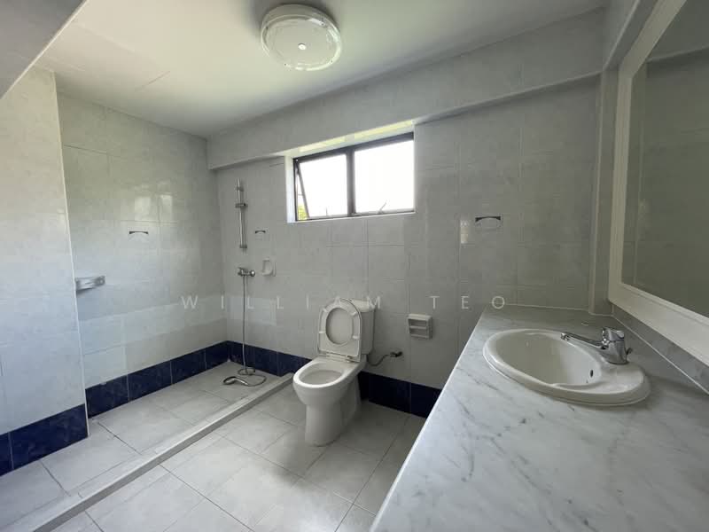 The Ambience, Ponggol Seventeenth Avenue, 4 Bedrooms, 4,000 sqft, Detached House For Rent, by William Teo, 21818418 - PropertyGuru.com.sg