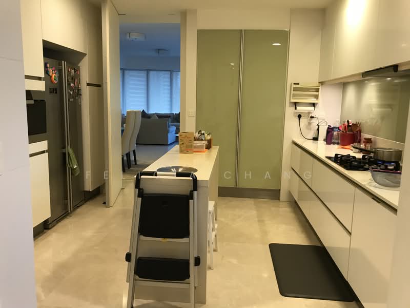 The Trillium, 112 Kim Seng Road, 4 Bedrooms, 2,300 sqft, Condominium For Rent, by Felicia Chang, 21828705 - Well appointed kitchen with TOP-end Miele appliances - PropertyGuru.com.sg