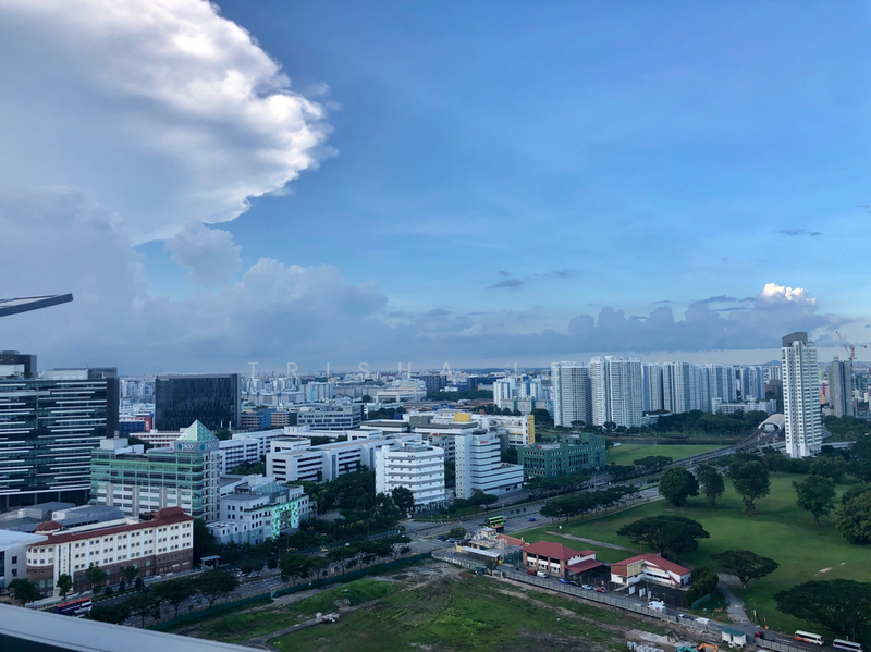 City View