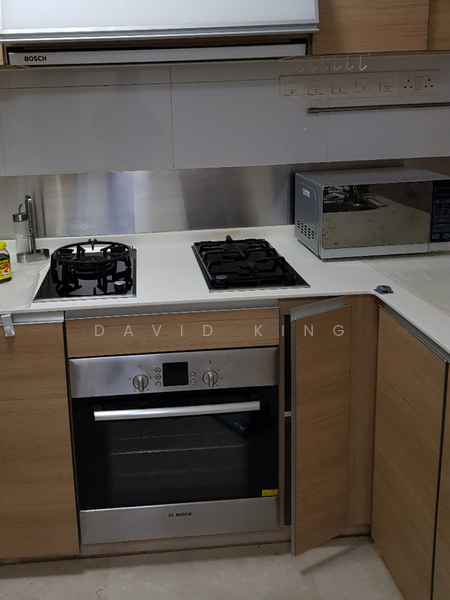 Parc Emily, 5 Mount Emily Road, 2 Bedrooms, 893 sqft, Condominium For Rent, by David King, 21854961 - PropertyGuru.com.sg