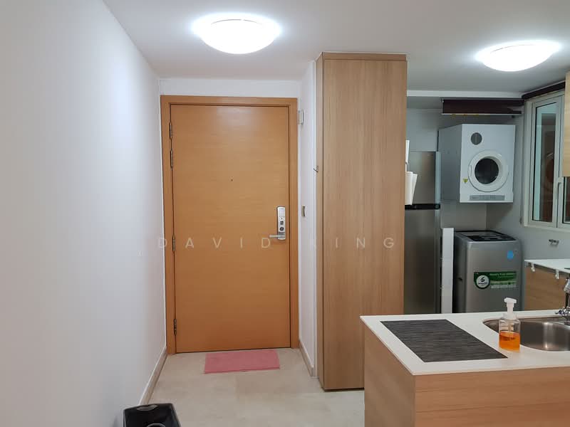 Parc Emily, 5 Mount Emily Road, 2 Bedrooms, 893 sqft, Condominium For Rent, by David King, 21854961 - PropertyGuru.com.sg