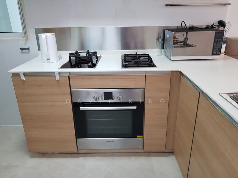 Parc Emily, 5 Mount Emily Road, 2 Bedrooms, 893 sqft, Condominium For Rent, by David King, 21854961 - PropertyGuru.com.sg