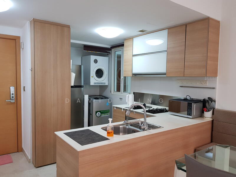 Parc Emily, 5 Mount Emily Road, 2 Bedrooms, 893 sqft, Condominium For Rent, by David King, 21854961 - PropertyGuru.com.sg
