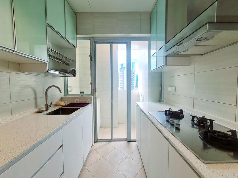 The Merlot, 101 Keng Lee Road, Farrer Park / Serangoon Rd, 2 Bedrooms, 883 sqft, Apartment For Rent, by Joanne Yeo, 21865766 - Kitchen and Yard area - PropertyGuru.com.sg