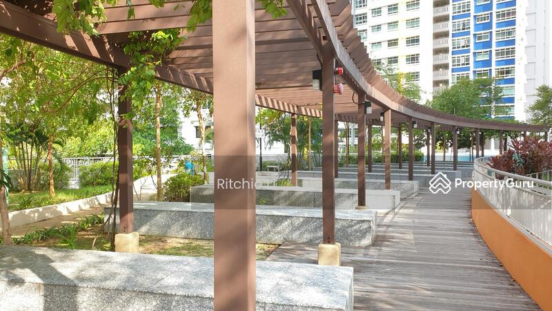 Rooftop garden