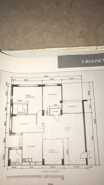 211 Pasir Ris Street 21, 211 Pasir Ris Street 21, 3 Bedrooms, 1,452 sqft, HDB Flat For Rent, by Serena Chan, 21889446 - PropertyGuru.com.sg