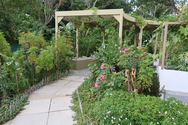 Bedok Terrace. Quiet. Overlooks park with luxuriant trees. Walk to Tanah Merah MRT., Bedok Terrace, 3 Bedrooms, 2,500 sqft, Terraced House For Rent, by Daniel Ho, 21892197 - PropertyGuru.com.sg