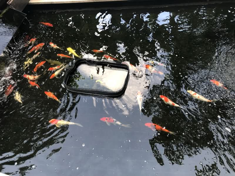 Eden Residences Capitol, 11 Stamford Road, 4 Bedrooms, 3,520 sqft, Condominium For Rent, by Connie Chai, 21906212 - PropertyGuru.com.sg