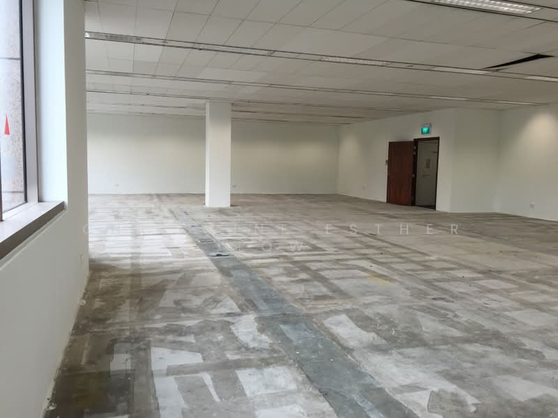 Orchard Office near Somerset MRT, , 5,000 sqft, Office For Rent, by Christine Esther Low, 21924545 - CommercialGuru.com.sg