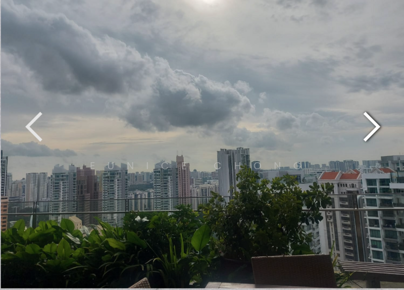 Skypark @ Somerset, 22 Saint Thomas Walk, 4 Bedrooms, 3,347 sqft, Apartment For Rent, by Eunice Chong, 21942011 - PropertyGuru.com.sg