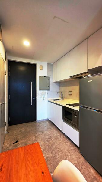 Haig 162, 162 Haig Road, 1 Bedroom, 365 sqft, Condominium For Rent, by Ryan Ngan, 21952738 - PropertyGuru.com.sg