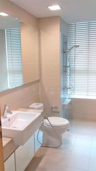 Tribeca by the Waterfront, 60 Kim Seng Road, 3 Bedrooms, 1,765 sqft, Condominium For Rent, by Christina Lim, 21981003 - Common Bathroom - PropertyGuru.com.sg