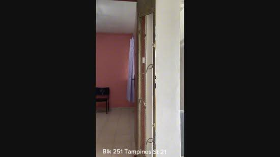 251 Tampines Street 21, 251 Tampines Street 21, Pasir Ris / Tampines, 2 Bedrooms, 796 sqft, HDB Flat For Rent, by Alice Koh, 21984050 - PropertyGuru.com.sg