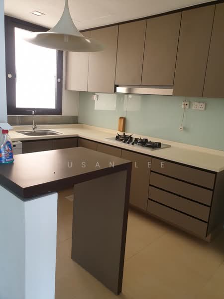 Yong An Park, 325 River Valley Road, 1 Bedroom, 1,022 sqft, Condominium For Rent, by Susan Lee, 21995628 - Well Kept Kitchen - PropertyGuru.com.sg