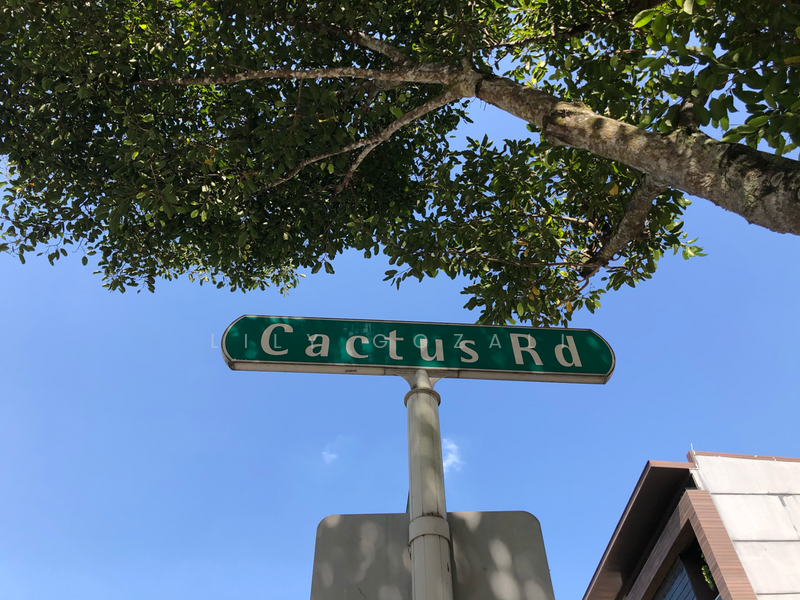 Best Value Semi Detached at Cactus Road, Cactus Road, 5 Bedrooms, 3000