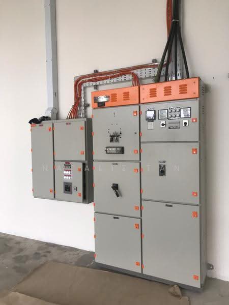 Platinum@Pioneer, Tuas Avenue 11, Boon Lay / Jurong / Tuas, 10,764 sqft, Factory / Workshop (B2) For Rent, by Natalie Tan, 22006767 - CommercialGuru.com.sg