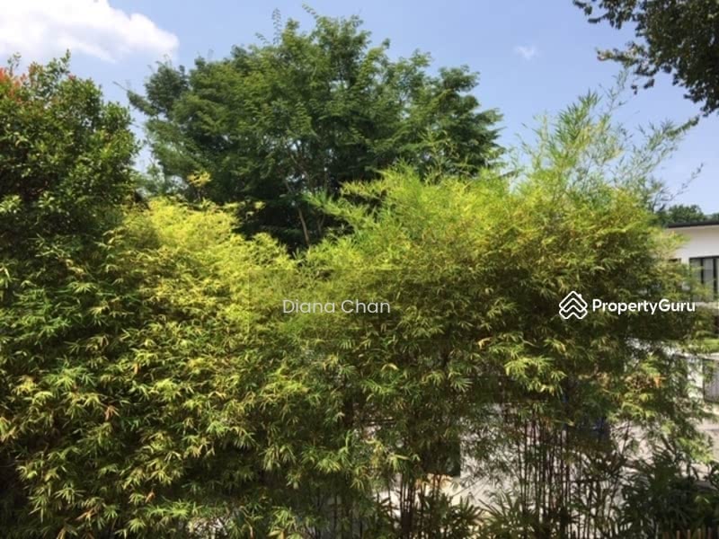 Lust Greenery 