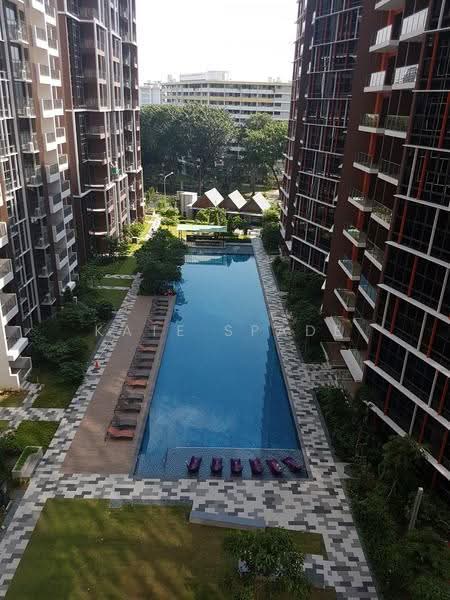 Full Swimming Pool view