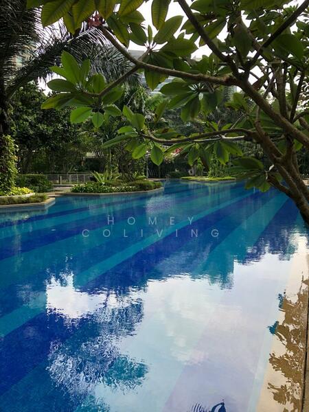 For Rent - Citylights