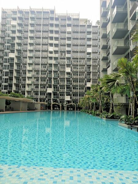The Alps Residences, Tampines Avenue 10, 1 Bedroom, 496 sqft, Condominium For Rent, by Nigel Toh, 22079904 - PropertyGuru.com.sg