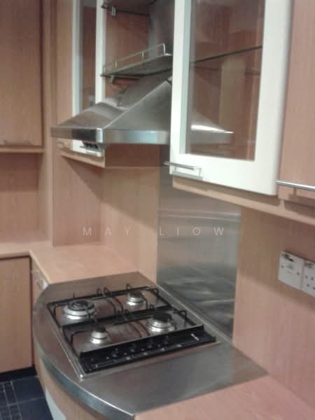 The Legacy, 455 Bukit Timah Road, 2 Bedrooms, 980 sqft, Apartment For Rent, by May Liow, 22088258 - Kitchen - PropertyGuru.com.sg