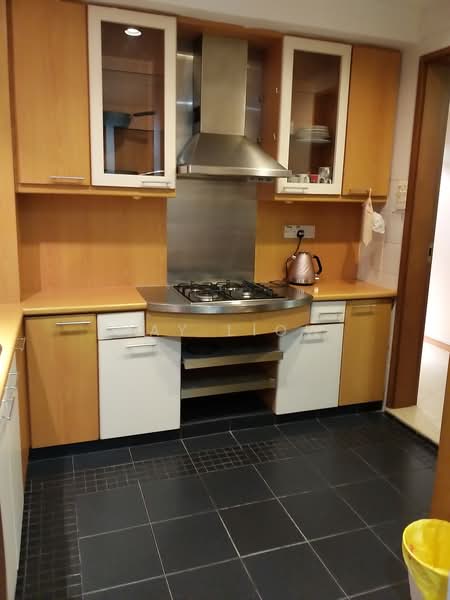 The Legacy, 455 Bukit Timah Road, 2 Bedrooms, 980 sqft, Apartment For Rent, by May Liow, 22088258 - Kitchen - PropertyGuru.com.sg