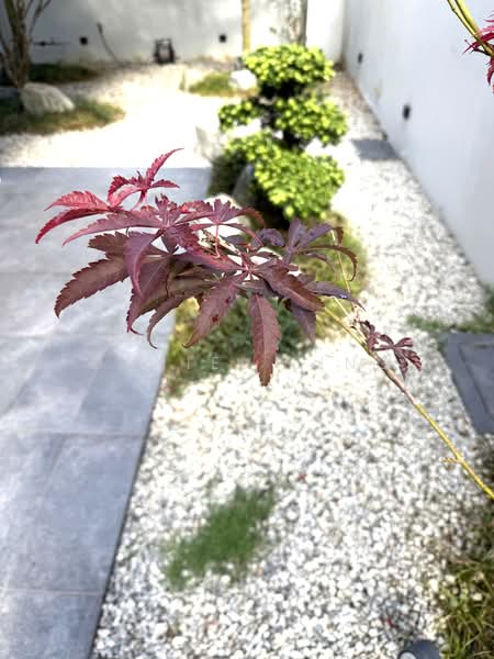 $22xxpsf Move-In Cond. Cosy House Semi-Detached House For Sale at S$ 7,500,000 | PropertyGuru Singapore