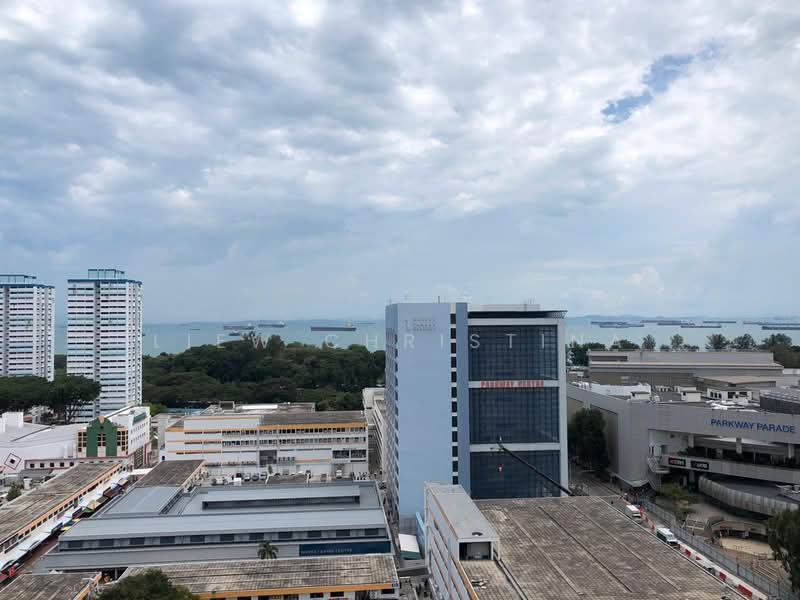 Marine Blue, 95 Marine Parade Road, 1 Bedroom, 1,270 sqft, Condominium For Rent, by Liew Christina, 22094872 - PropertyGuru.com.sg