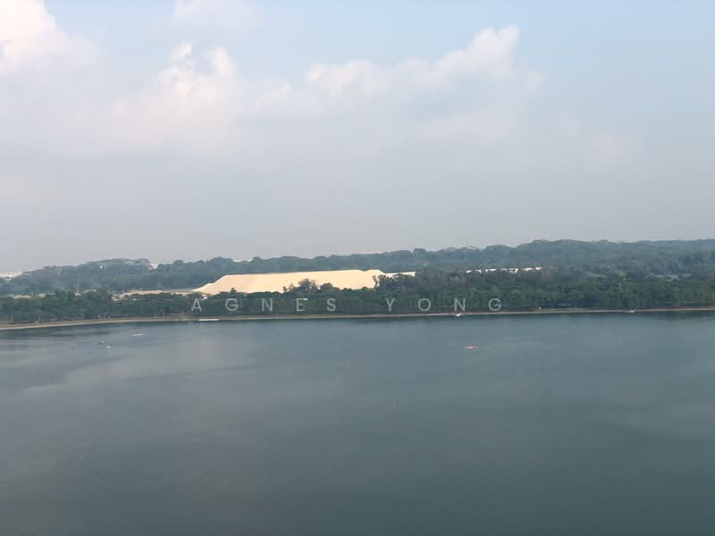 Waterfront Gold, 733 Bedok Reservoir Road, 2 Bedrooms, 894 sqft, Condominium For Rent, by Agnes Yong, 22109286 - PropertyGuru.com.sg