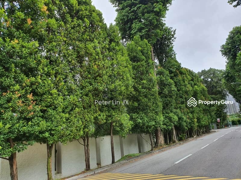 For Sale - ⚡️Wow! Don't Miss! ⚡️Coveted Address!!! ⚡️GCB @ Tanglin⚡️(顶级优质洋房)⚡️❤️(9295☎️8888 祝您祝我, 发发发发)❤️