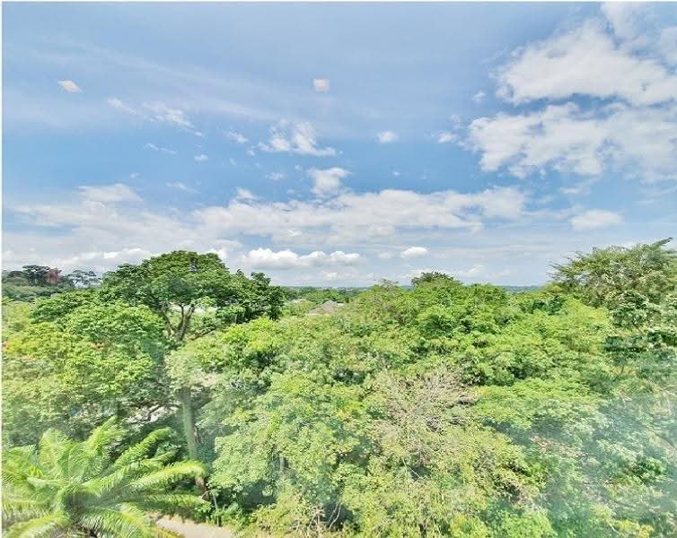Nassim Regency, 37 Nassim Road, Tanglin / Holland / Bukit Timah, 3 Bedrooms, 2,024 sqft, Apartment For Rent, by Lawrence Hong, 22120666 - PropertyGuru.com.sg