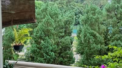 For Rent - La Suisse II