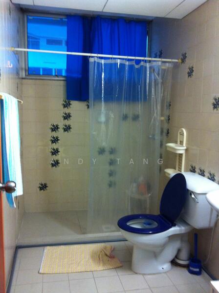 Sherwood Towers, 3 Jalan Anak Bukit, Room Rental, 120 sqft, Apartment For Rent, by Andy Tang, 22146794 - PropertyGuru.com.sg