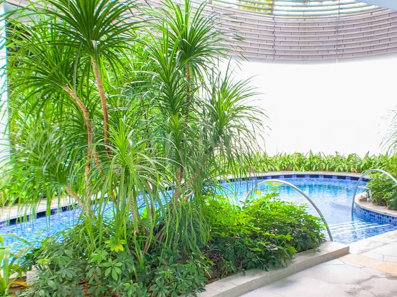 8 Saint Thomas, 8 Saint Thomas Walk, 1 Bedroom, 506 sqft, Condominium For Rent, by Mei-Ci Lui, 22165016 - Semi-private Spa Pool - PropertyGuru.com.sg